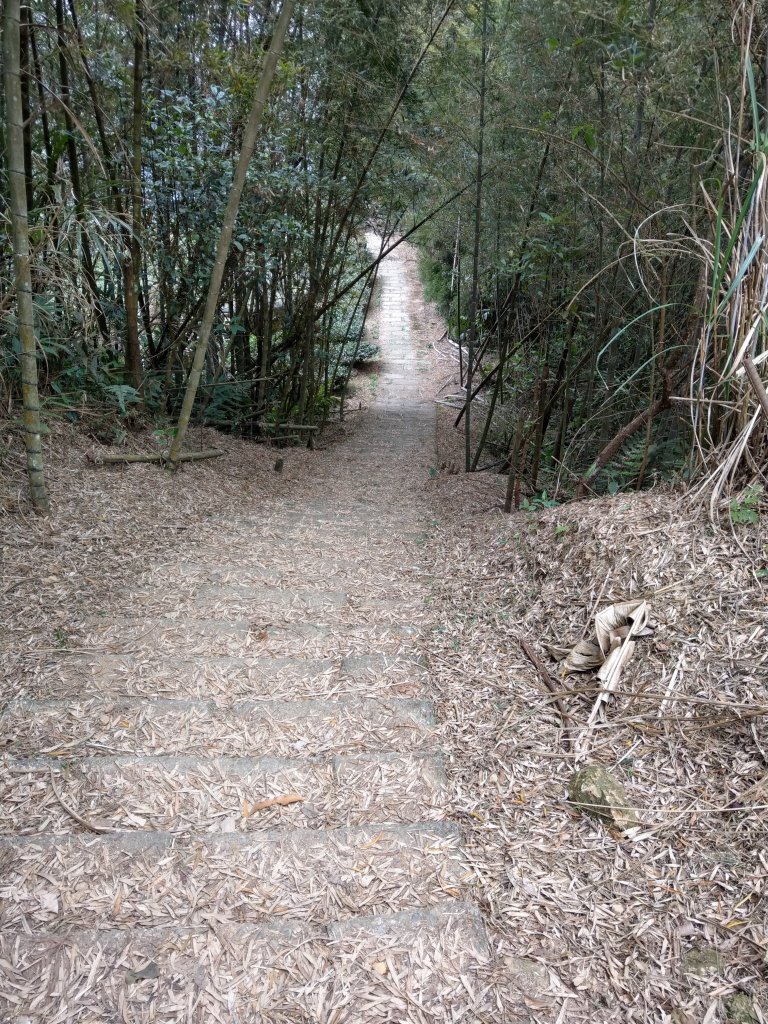 梨子腳山(小百岳#57) & 太平雲梯 (2021/1/29)_1423187