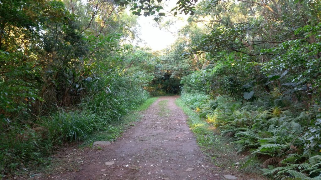 台北大縱走之劍潭山+忠義山_445658