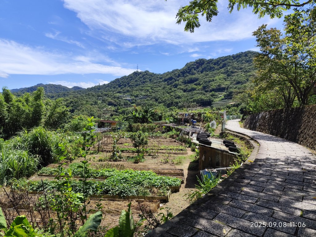 【臺北大縱走 7】2-1 樟山寺→樟樹步道→彩雲亭→相思炭窯→貓纜貓空站→指南路三段40巷_2881785