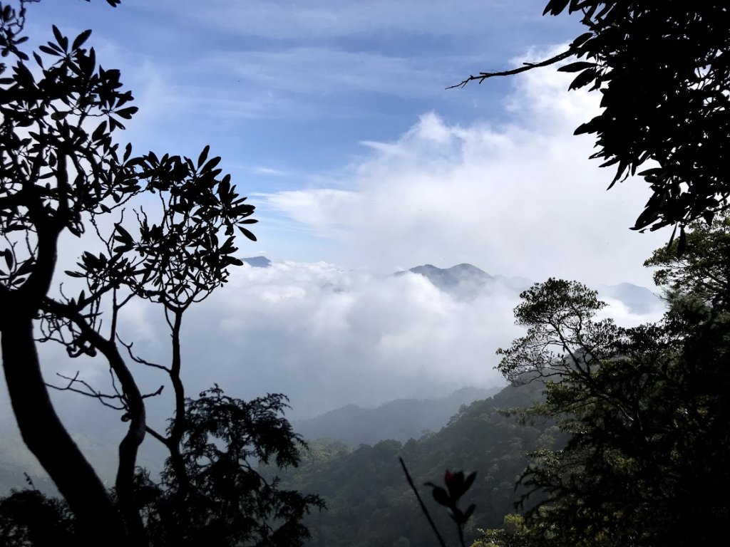 高島縱走（高台山連走島田山）20210508_1968734