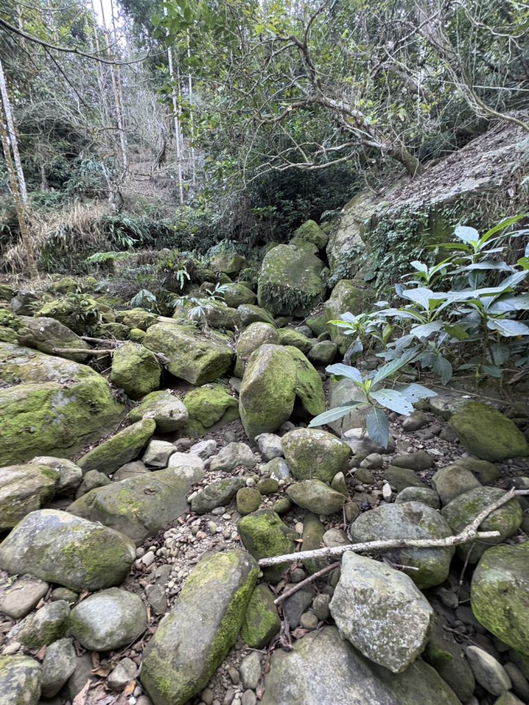 20251123台南－獵鷹尖一線天步道_2944578