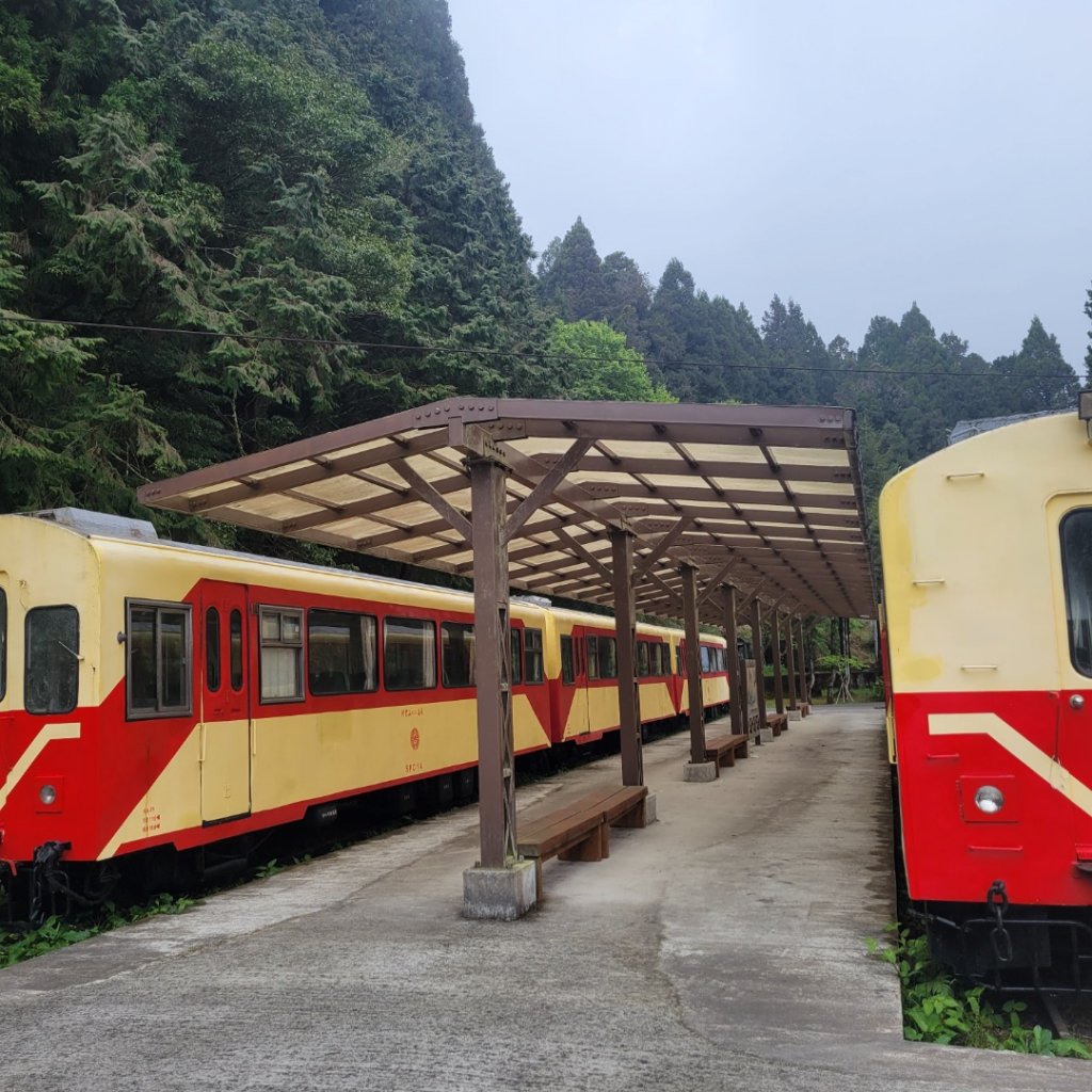 塔山步道(小百岳)_2123279