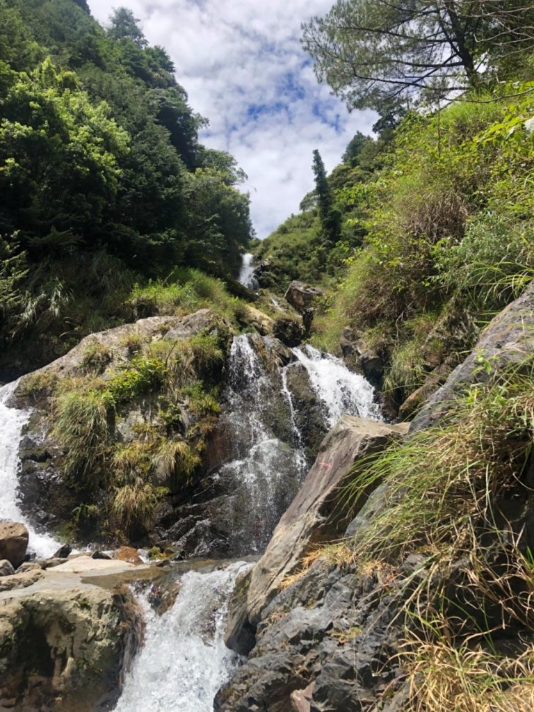 雪山西稜+大安溪神木_636491