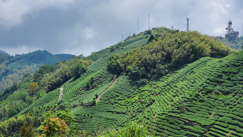 雲嘉大尖山 梨子腳山_1727400