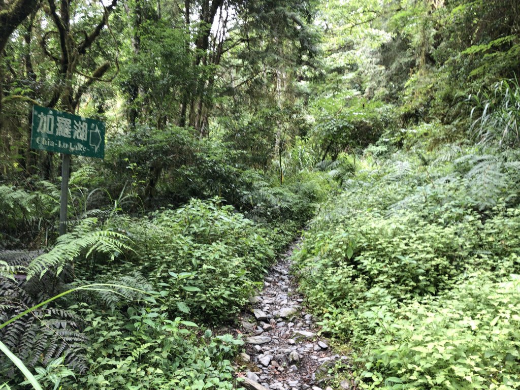 宜蘭 四季 加羅湖_633834