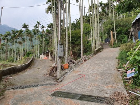 1090405後棟山連走大二尖山_908307