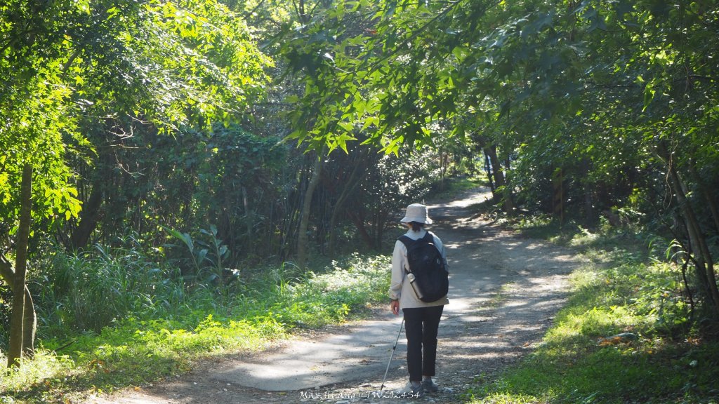《新竹》湖口老街｜金獅古道O繞茶香及仁和步道20241206_2663769