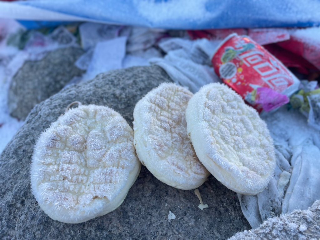 西藏-崗仁波齊轉山/珠峰大本營5200米_2897478