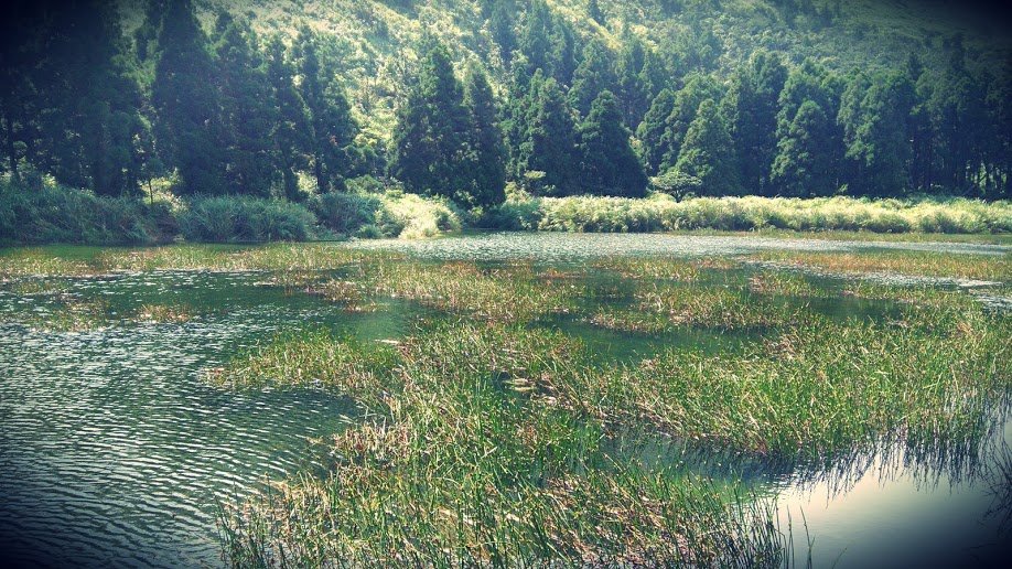 2019 8/10 夢幻湖_875760