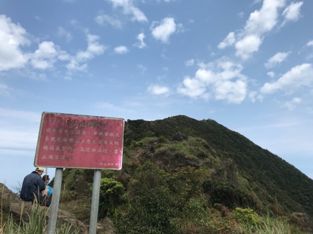 茶壺山頂看黃金山城_870334