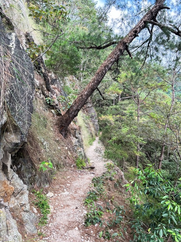 谷關-東卯山封面圖