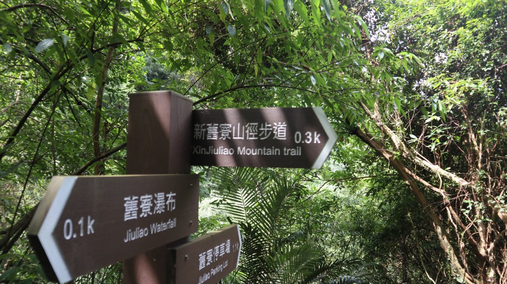 新舊寮瀑布O型登山健行趣(步道)_2328211