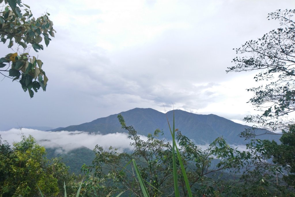 後尖山步道_1488982