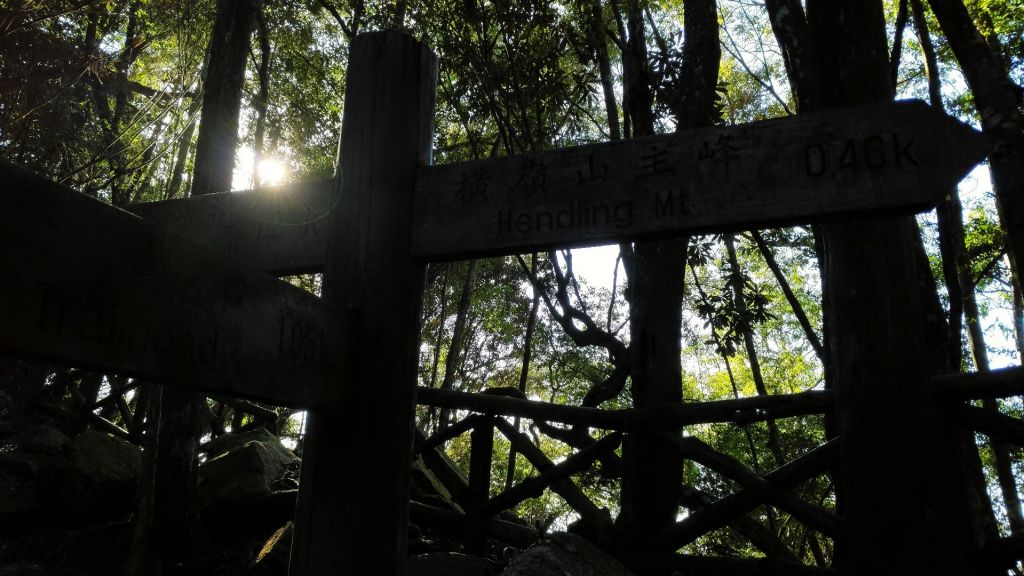 2018/1/14 橫嶺山_305265