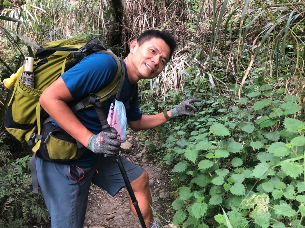 鹿屈山.水漾森林_1405012