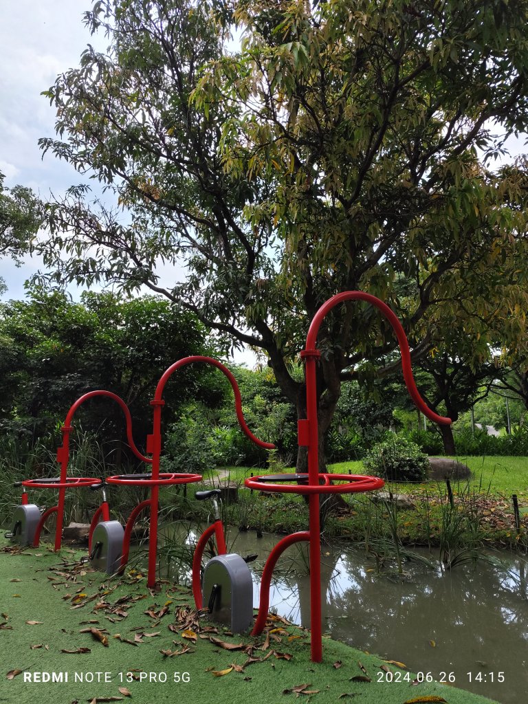 大安森林公園【走路趣尋寶】【臺北健走趣】_2536233