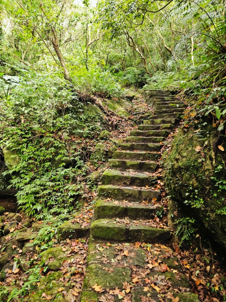 2025臺北大縱走第四段：風櫃口至中華科技大學_2973480