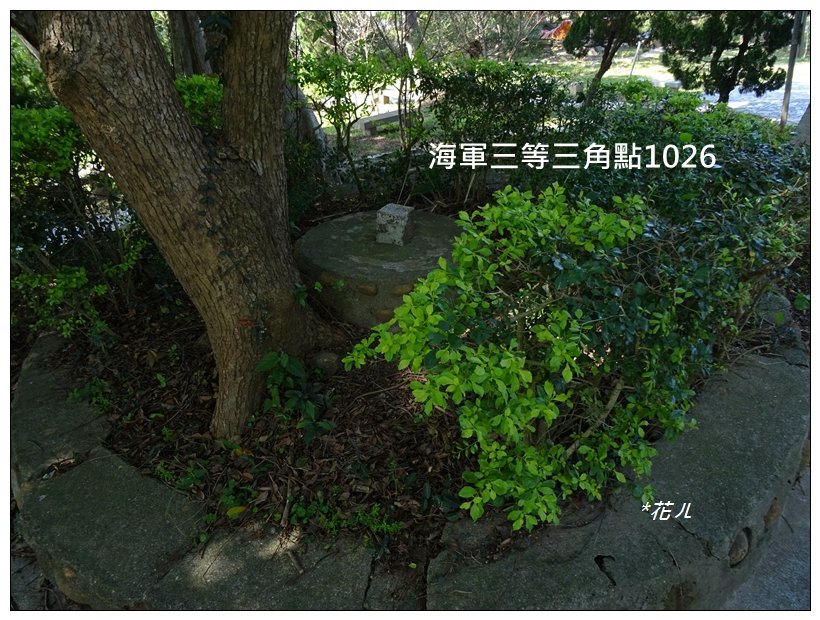  大甲/鐵砧山(小百岳)_819469