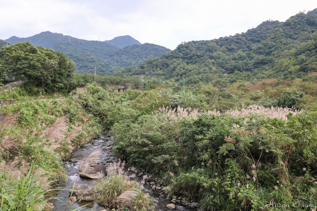 [新北]貂山古道_1539040