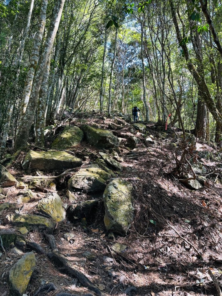 波津加山_2845997