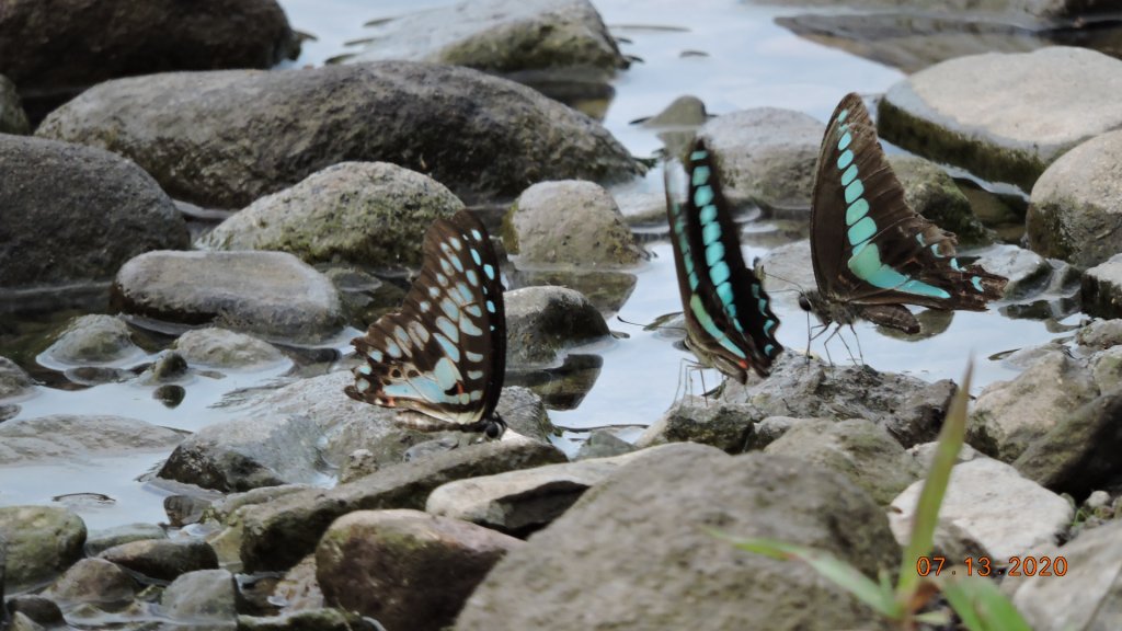 就是喜歡這個藍天白雲的FU_1032044