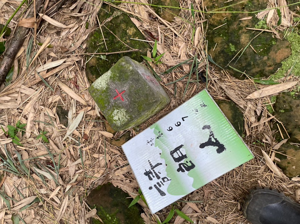 金詩塞內_2236643