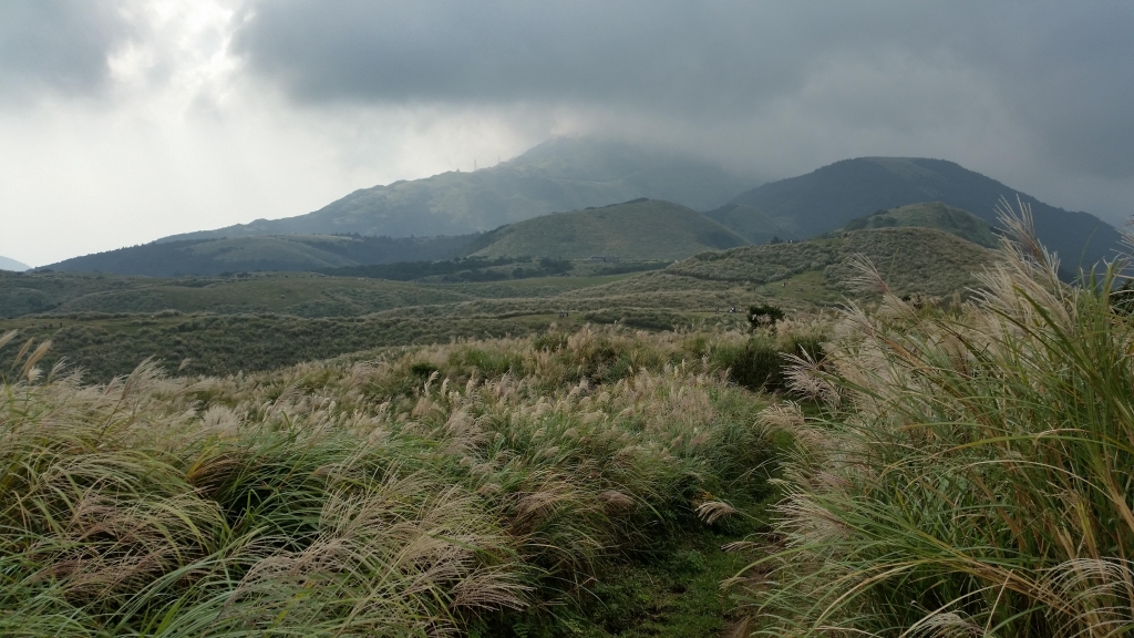 陽明山國家公園~磺嘴山、翠翠谷_2942