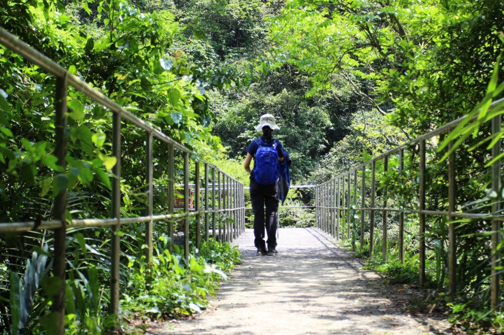 燦光寮古道O型_935206