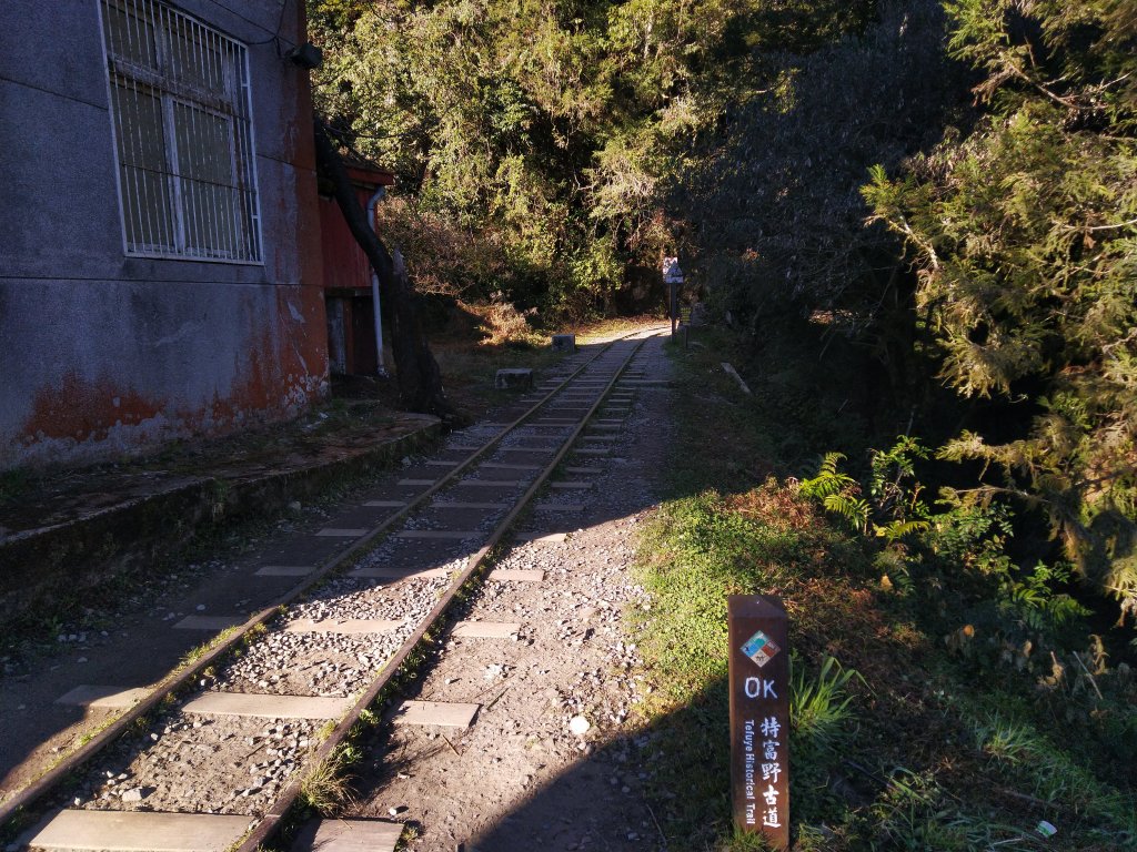 自忠山、東水山、北霞山、特富野古道_826574