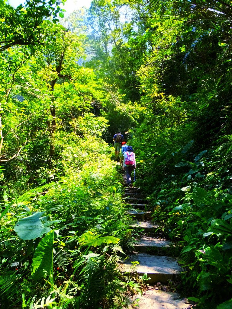 【走入山林，清涼一夏】宜蘭澳花瀑布步道_633037