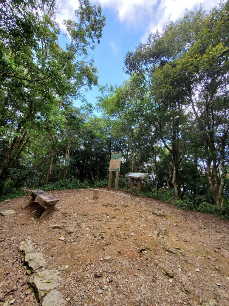 步道巡訪員 l 尾寮山7月份巡訪_1095968