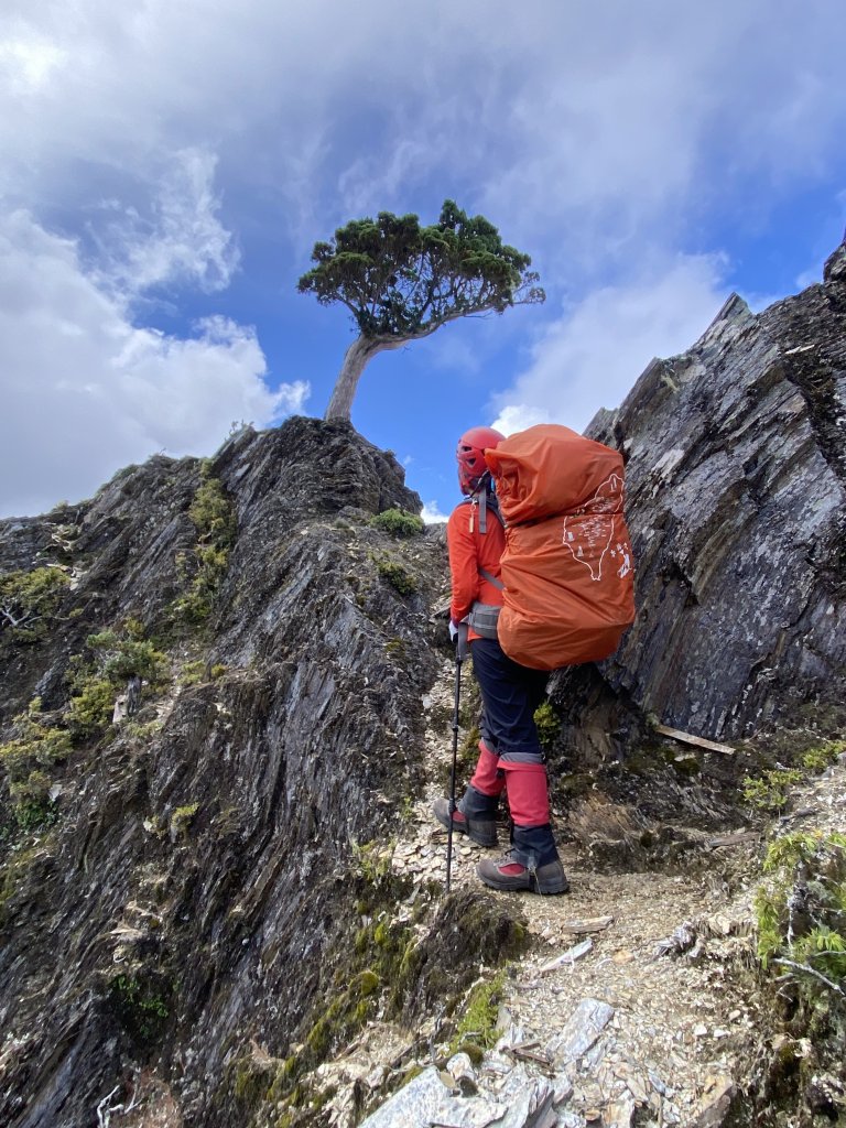 南二馬博_2860108