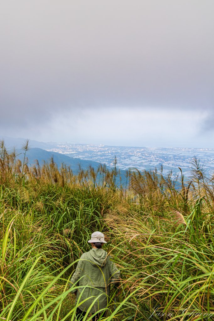 [宜蘭]鵲子山封面圖