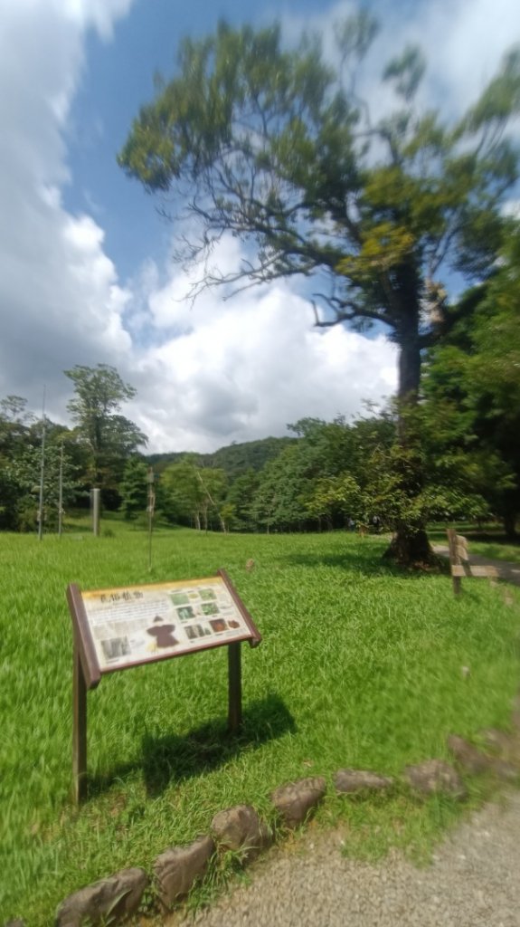 百大：福山植物園_1748265