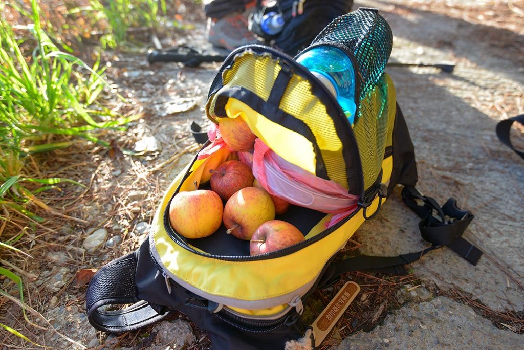 天巒池 plus 武法奈尾山_11261