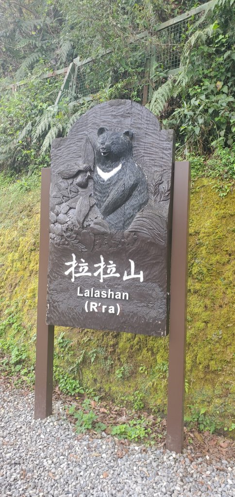 2024-03-16拉拉山神木群步道_2456021