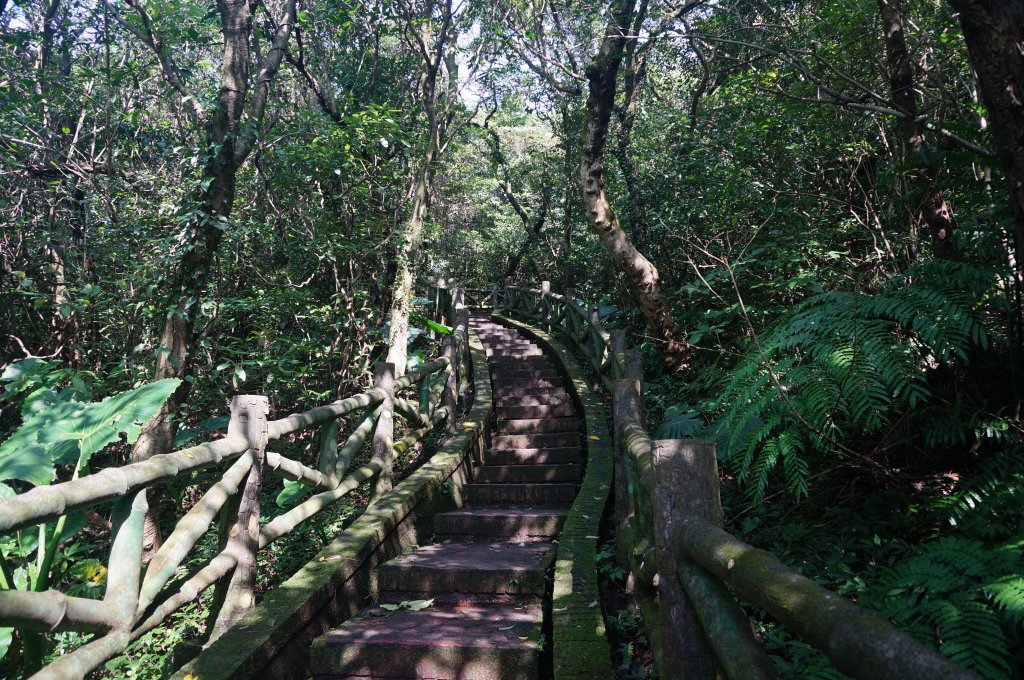 大武崙山 大武崙砲台 情人湖 連走_2037506