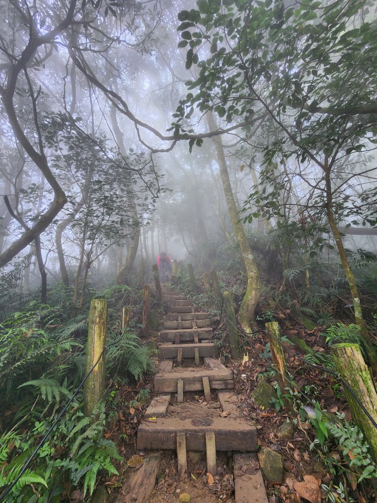 台南關子嶺大凍山 雲萊山莊 水火同源 碧雲寺封面圖