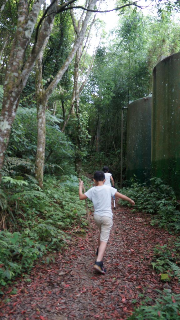 向天湖山之趣_399964