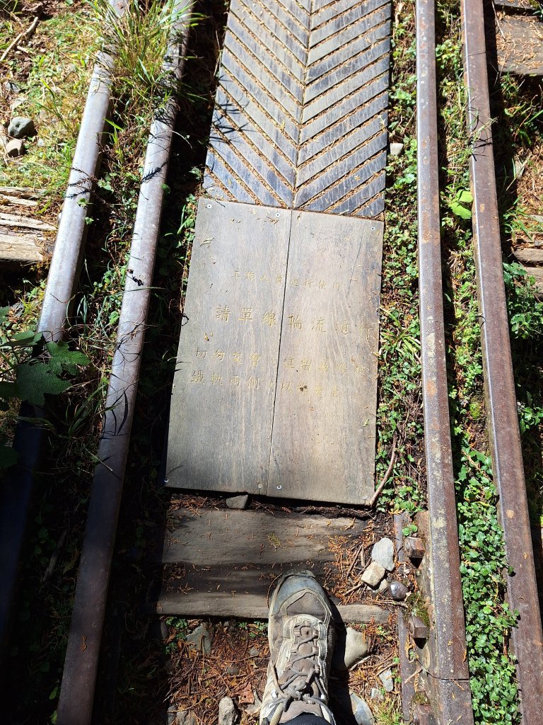 一日眠月線20250112_2688136