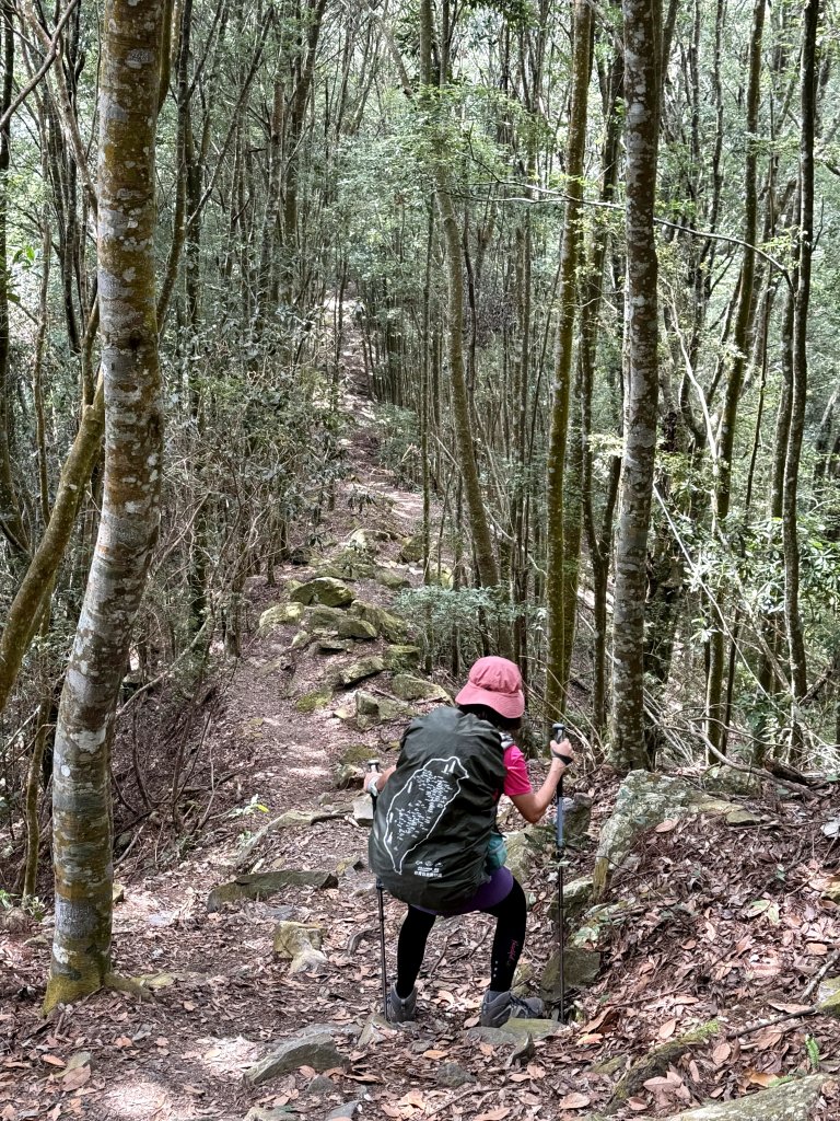 波津加山 20250914_2893385