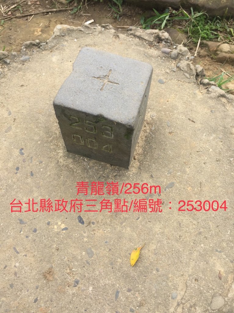 大同山青龍嶺大棟山連走_561644