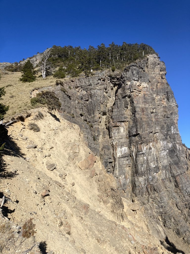 順撿甘木林之雪山西稜接志摩山稜線下小雪山林道_2012239