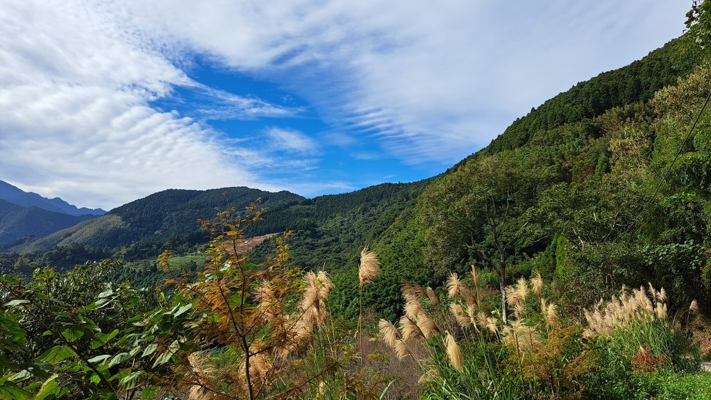 比大半鳥縱走封面圖