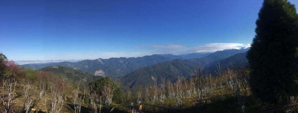 20220203高雄二集團櫻花公園順登二集團山封面圖