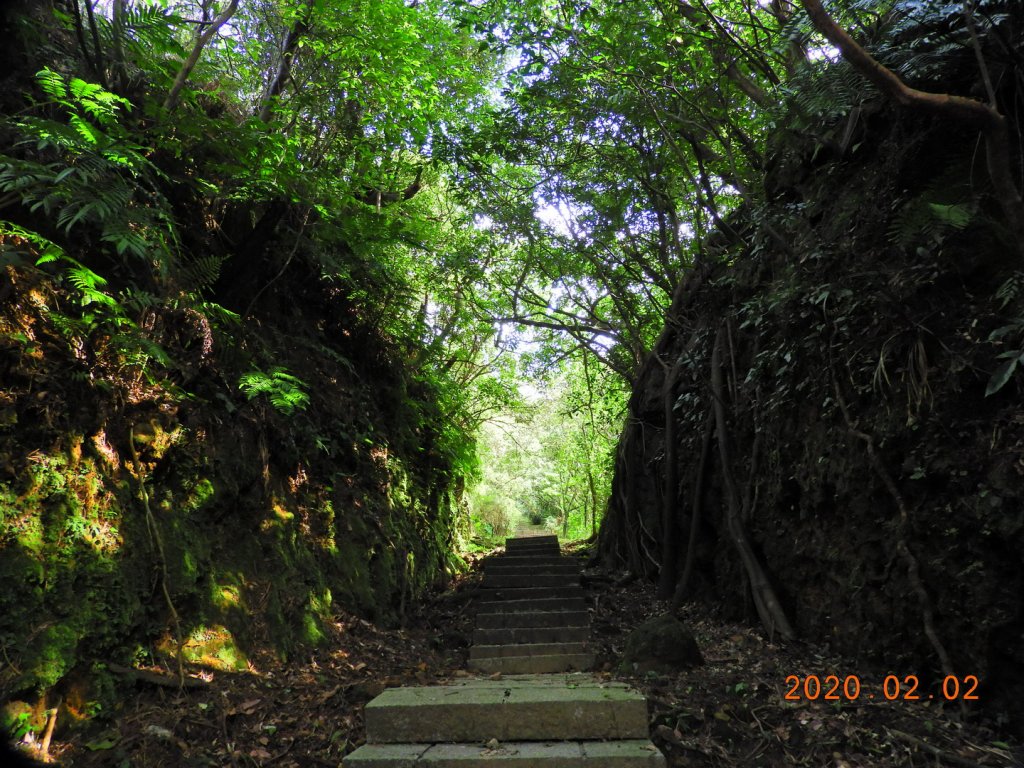 新北 瑞芳 琉瑯路步道_821793
