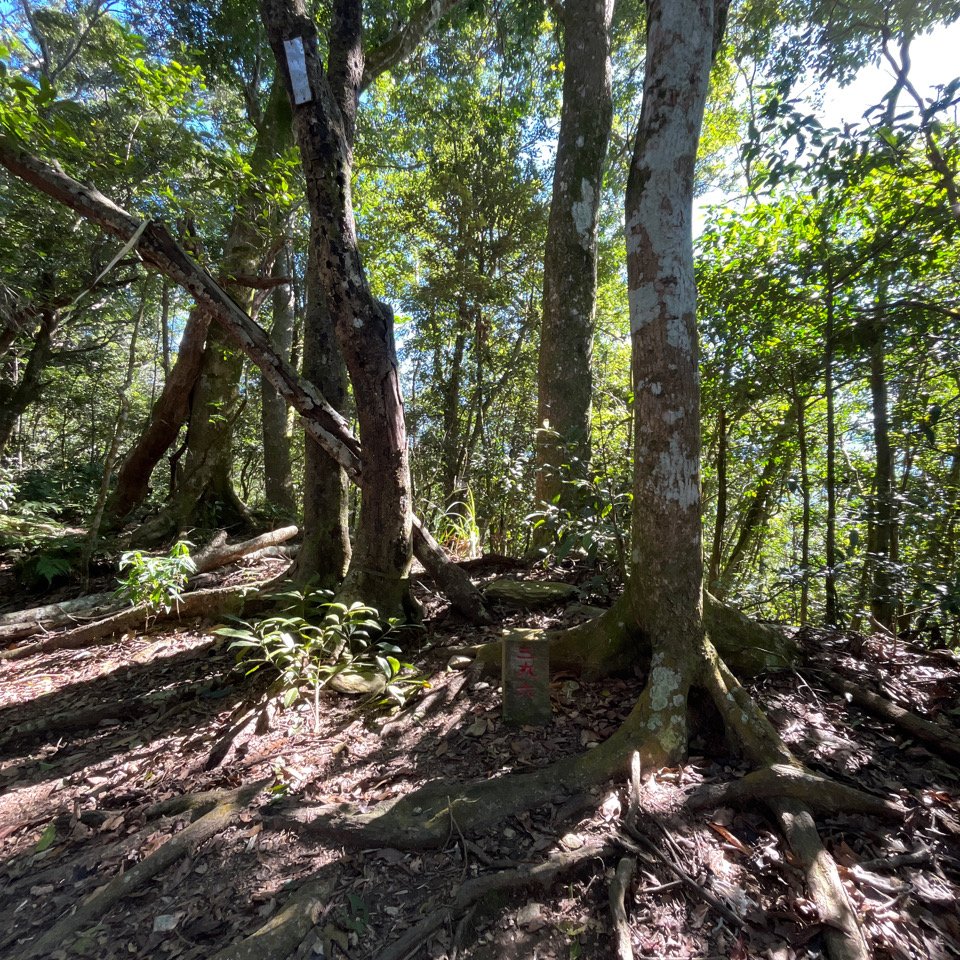 20251116_鳴海山（高雄小百岳）_2941562