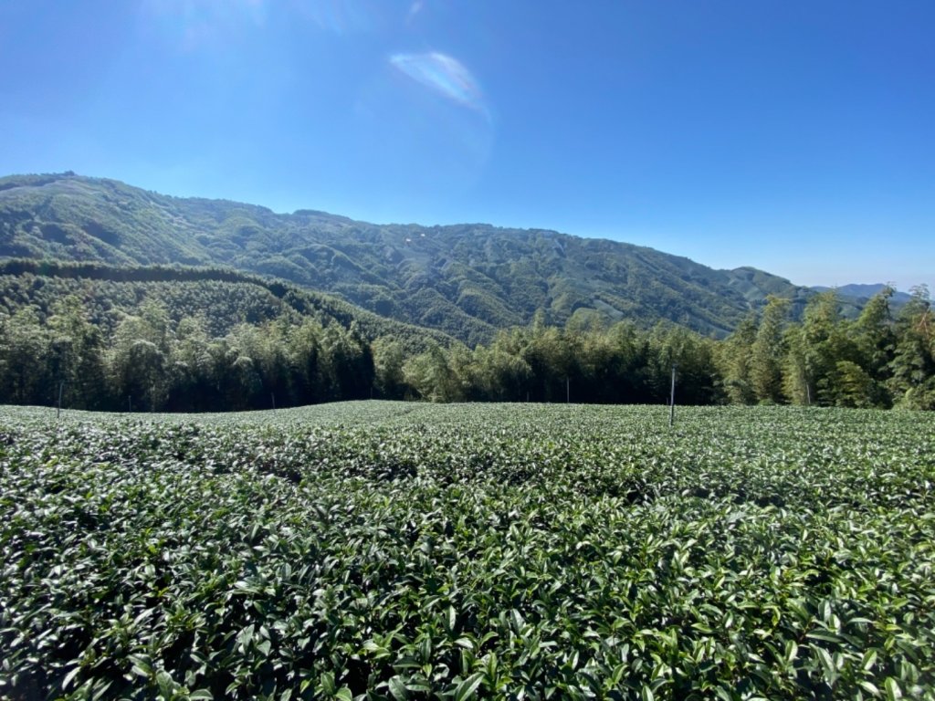 鹿谷小半天大崙尾山步道_1537509