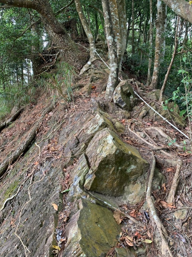 210林道騎行順登山椒山、烏石坑山  2022.10.23封面圖