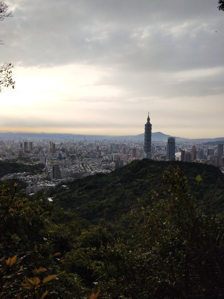 南港山縱走親山步道(拇指山、南港山、象山、九五峰)_1820233